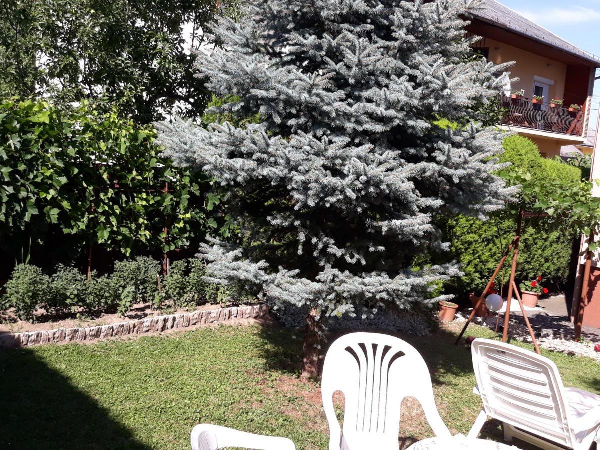 Lazar Apartmanok Хевіз Екстер'єр фото