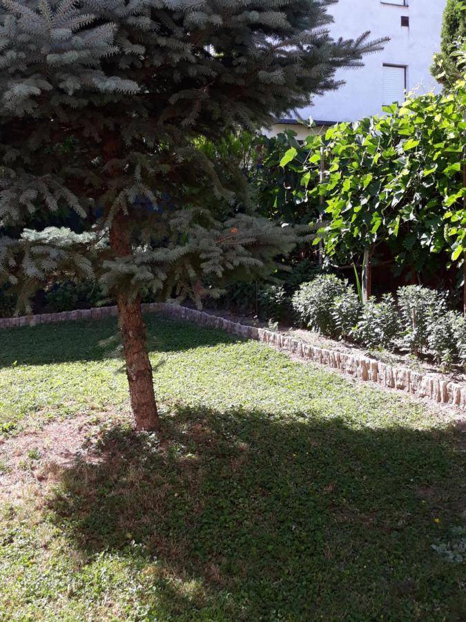 Lazar Apartmanok Хевіз Екстер'єр фото